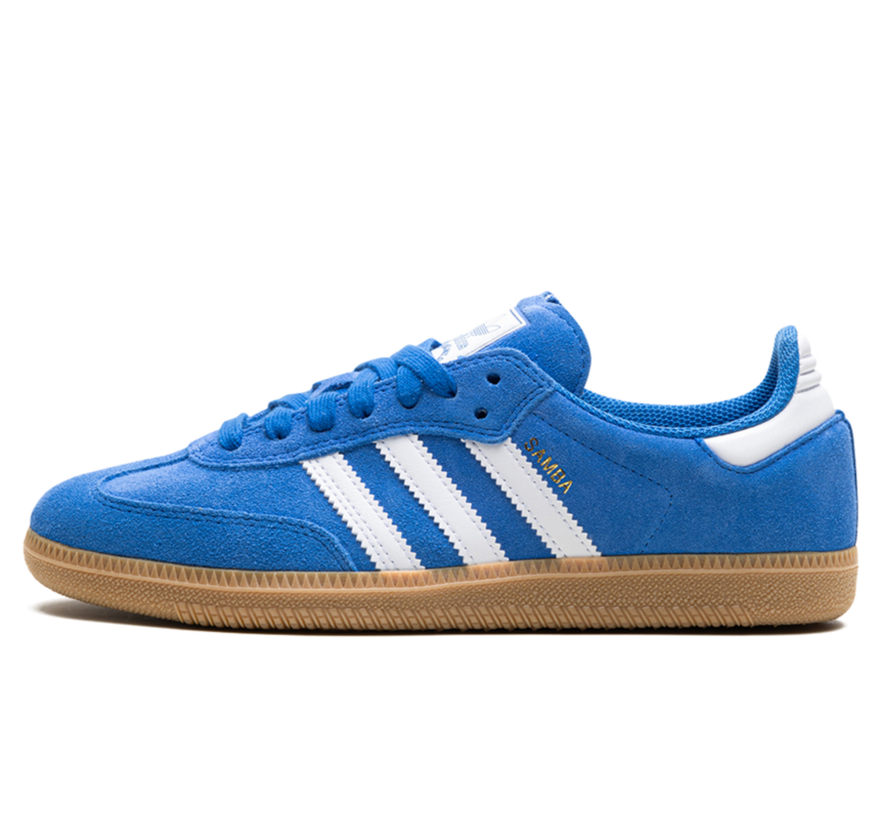 Samba Adv "Blue Bird"
