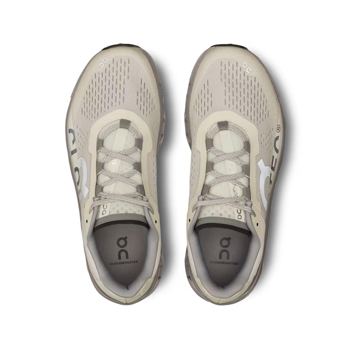On Cloudmonster Ice | Alloy