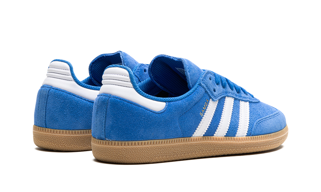 Samba Adv "Blue Bird"