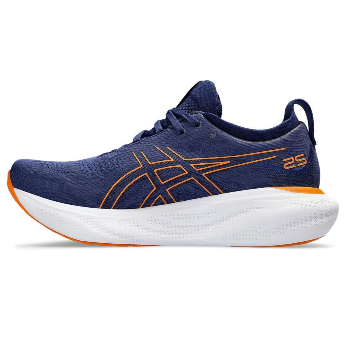 Asics Gel Nimbus 25