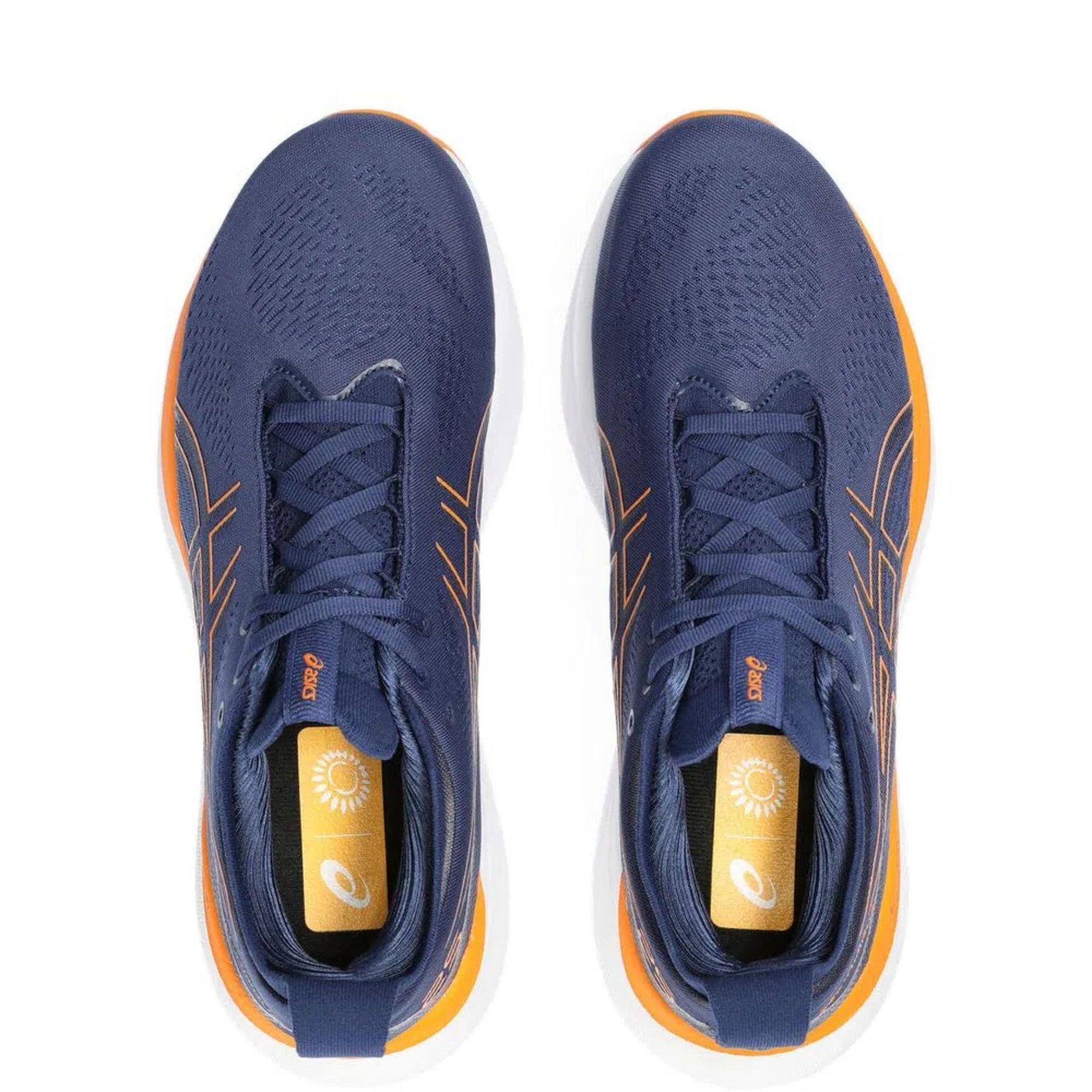 Asics Gel Nimbus 25
