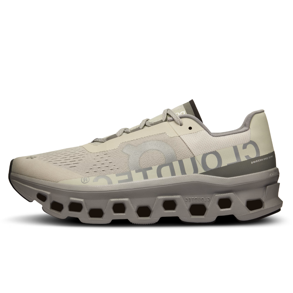 On Cloudmonster Ice | Alloy