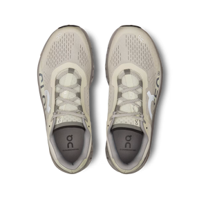 On Cloudmonster Ice | Alloy
