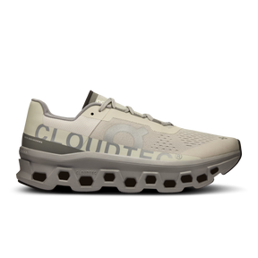 On Cloudmonster Ice | Alloy